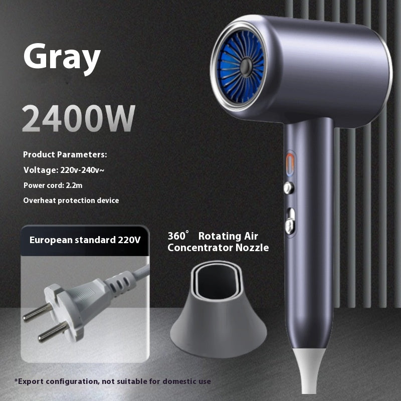 Sèche-Cheveux Professionnel 2400W – Séchage Ultra-Rapide